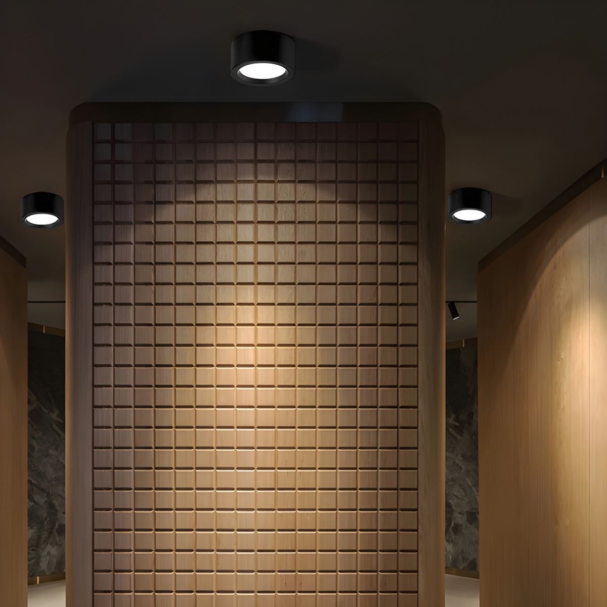 Lámpara de Techo Moderna de Hierro con Luz LED Integrada, Diseño Minimalista para Interiores 8