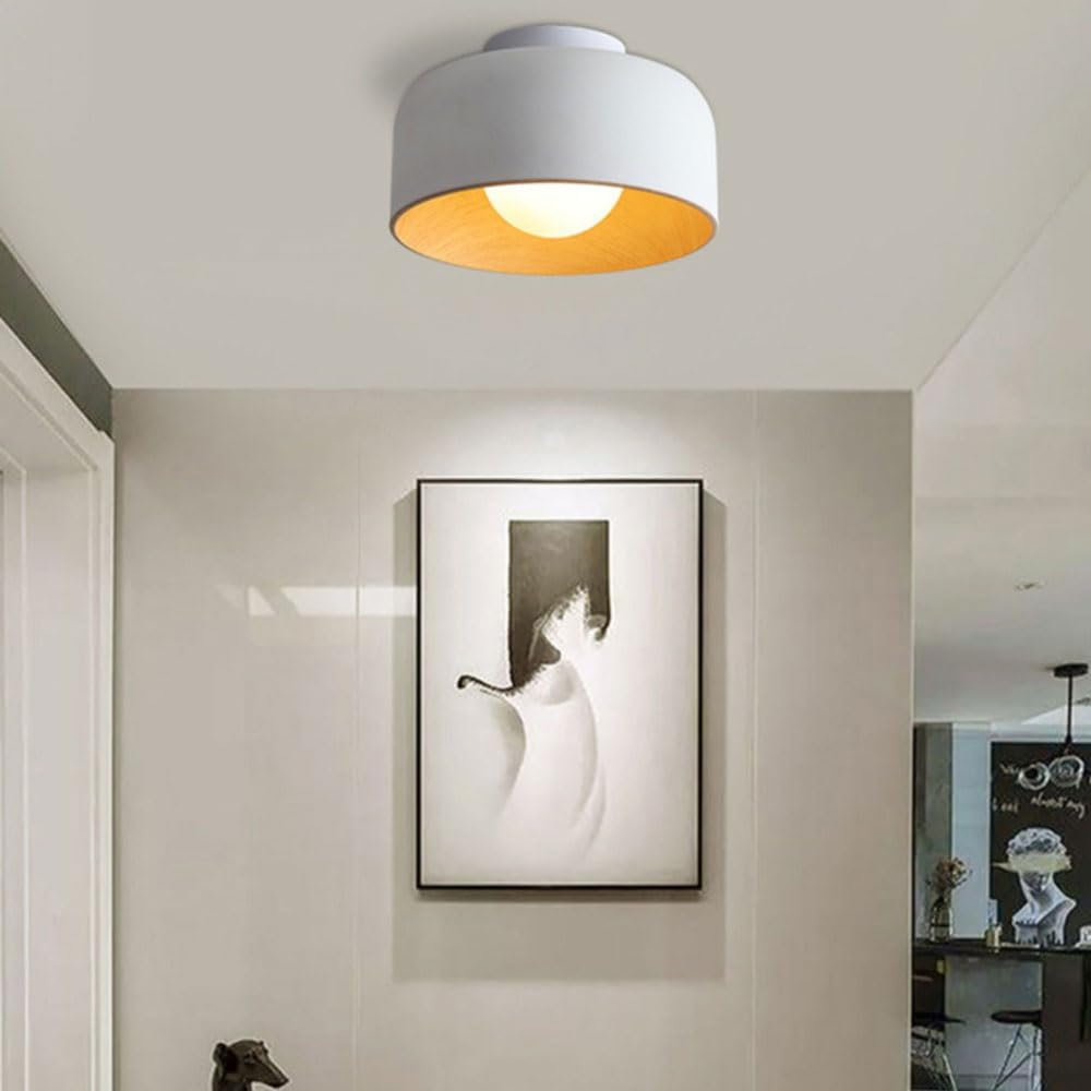 Lámpara de Techo Moderna de Metal Minimalista, Diámetro 22cm, Altura 13cm, Estilo Contemporáneo, Base G9 8