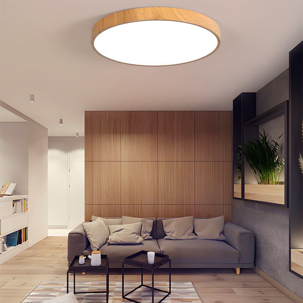 Lámpara de Techo de Hierro Forjado LED, Diseño Moderno y Elegante, Opciones de Potencia 12W a 60W, Ideal para Salones y Comedores 2