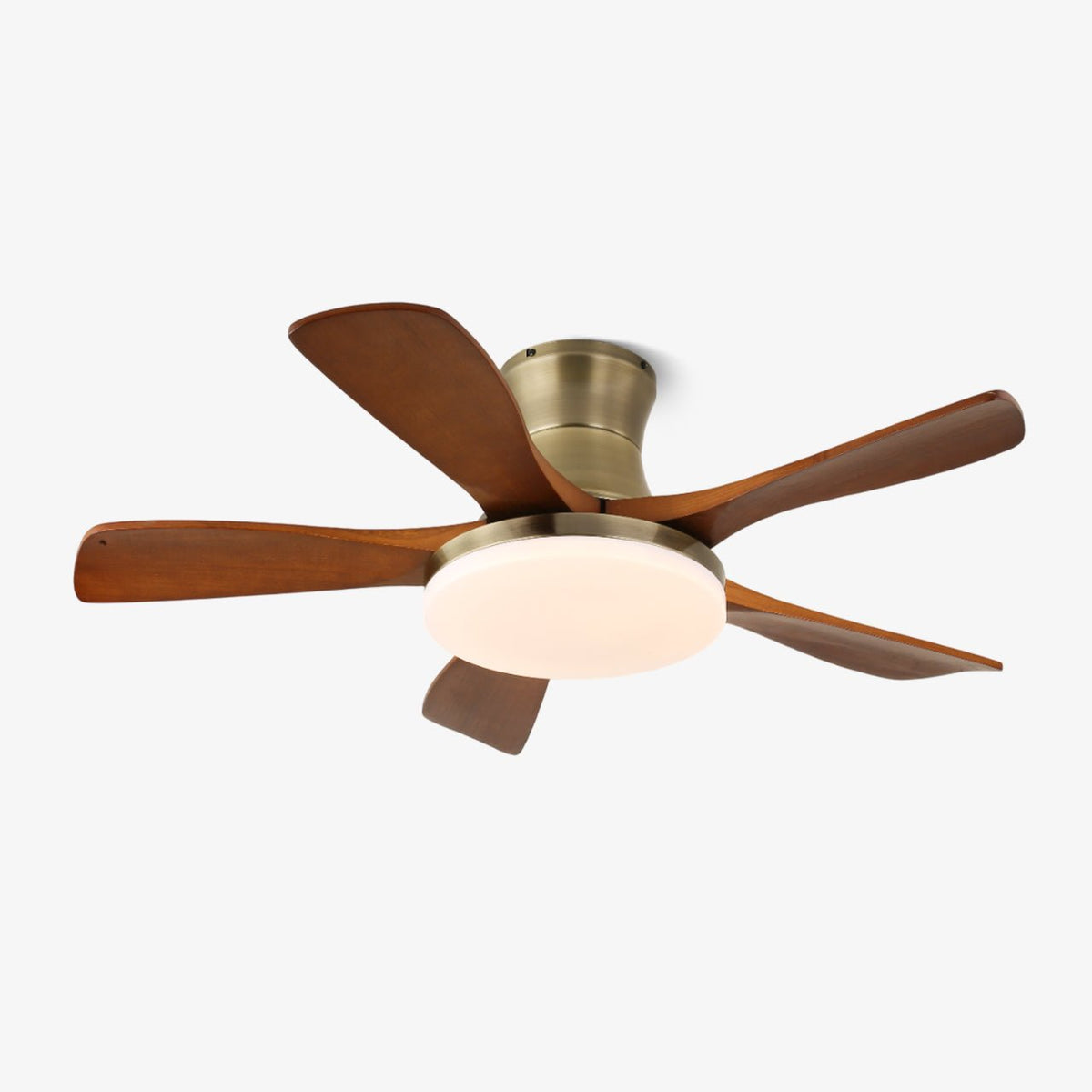 Ventilador de techo con luz Lorenta – vista principal