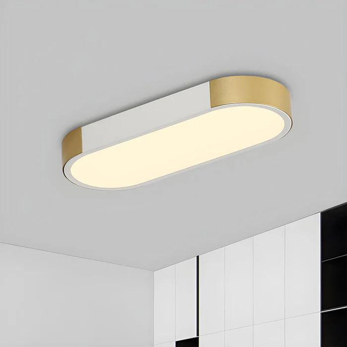 Luz de Techo LED Moderna de Hierro para Sala de Estar – Diseño Chic y Eficiente 13