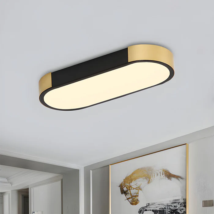 Luz de Techo LED Moderna de Hierro para Sala de Estar – Diseño Chic y Eficiente 1