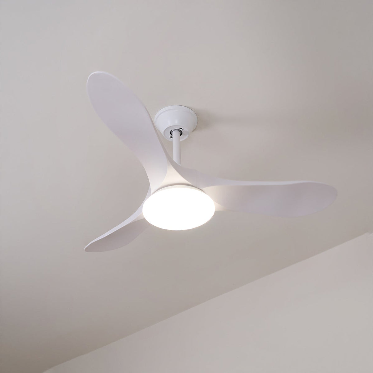 Ventilador de techo con luz Tilara en un salón natural – imagen 7