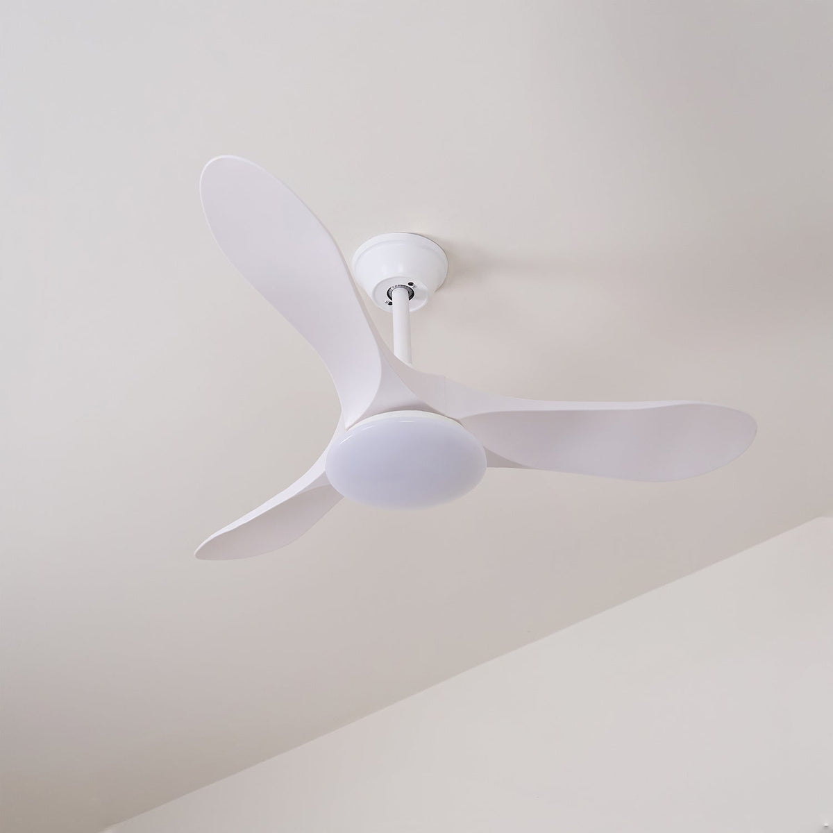Ventilador de techo con luz Tilara en un salón natural – imagen 24