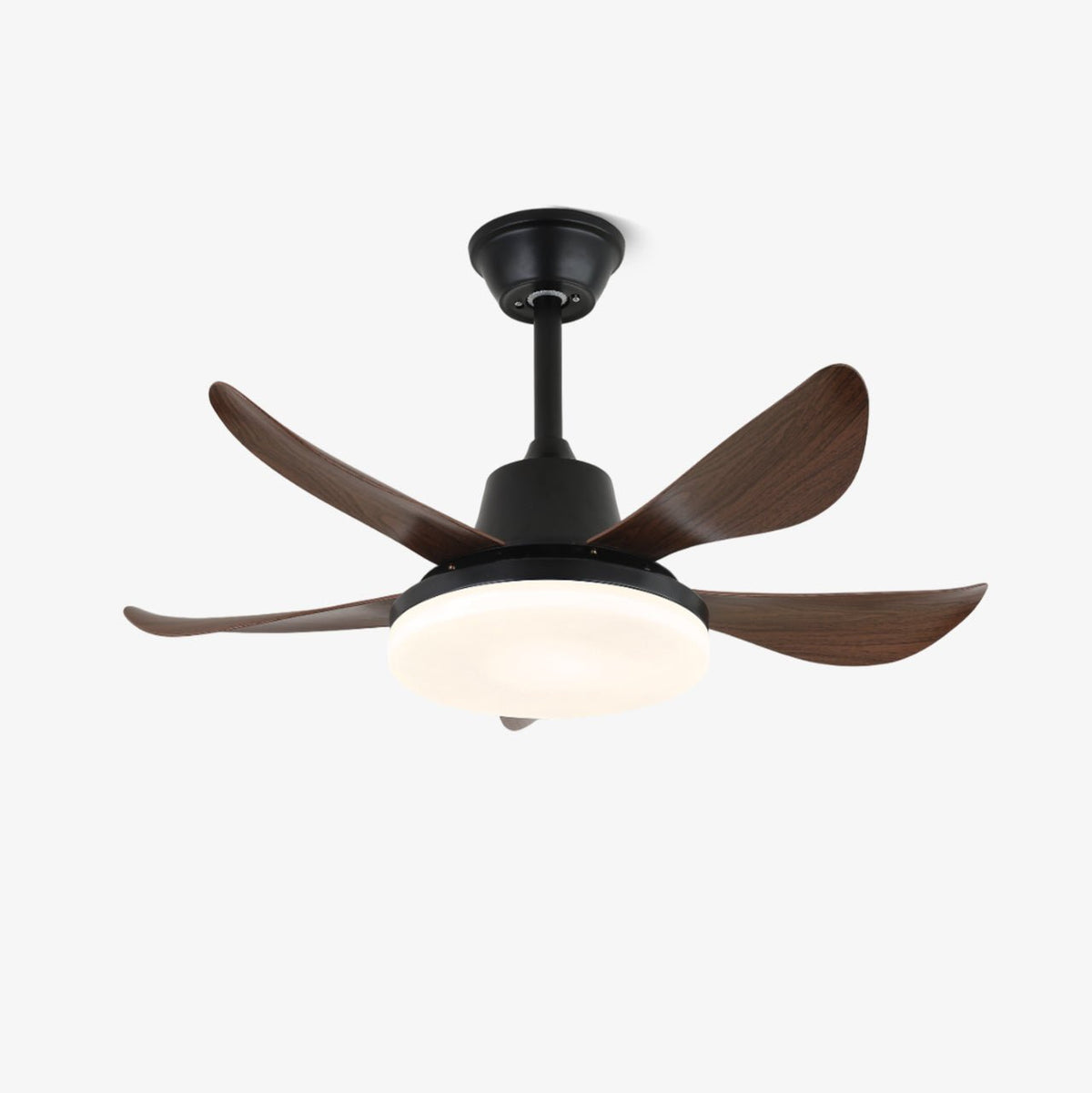 Ventilador de techo con luz Carvela – vista principal
