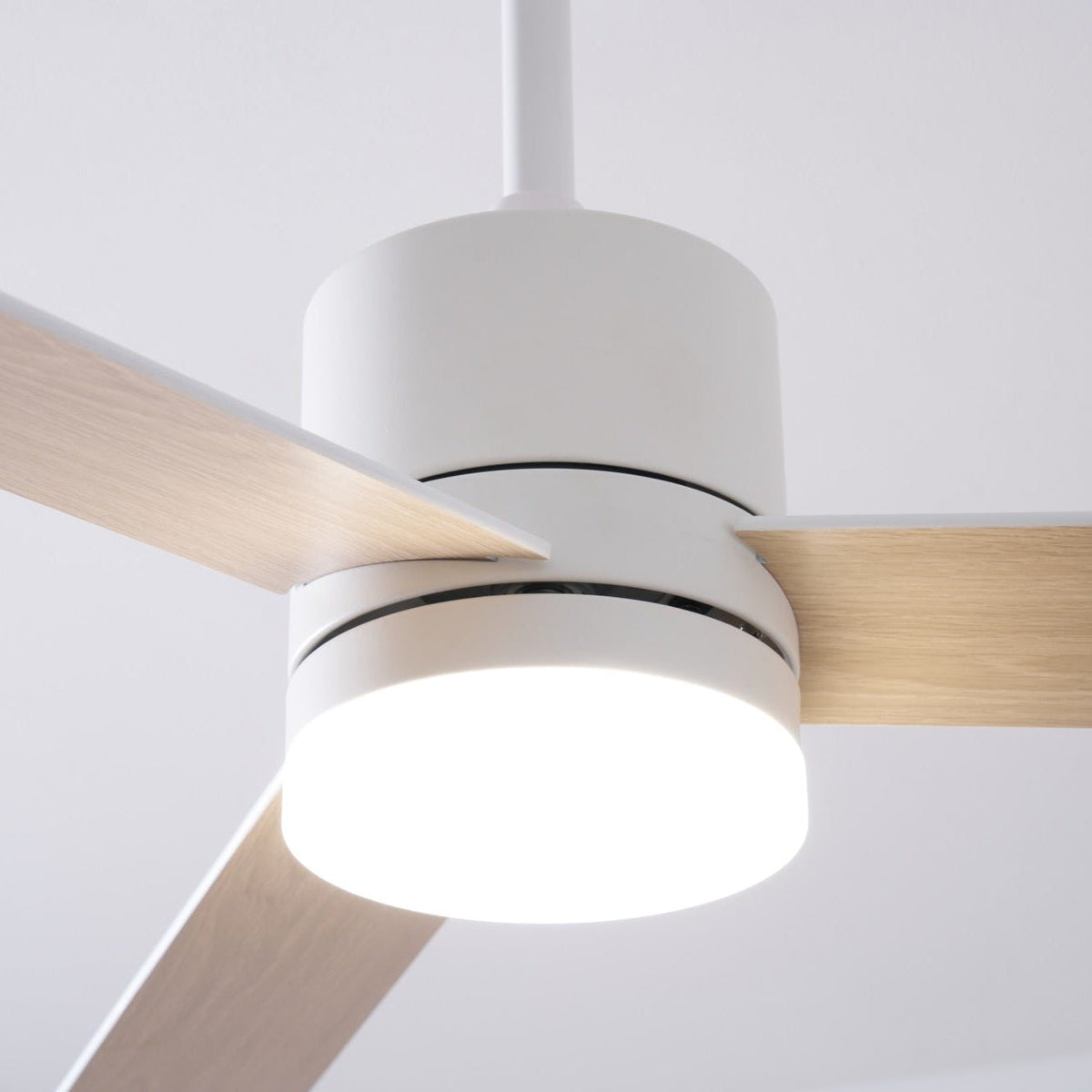 Ventilador de techo con luz Albora en un salón luminoso – imagen 13