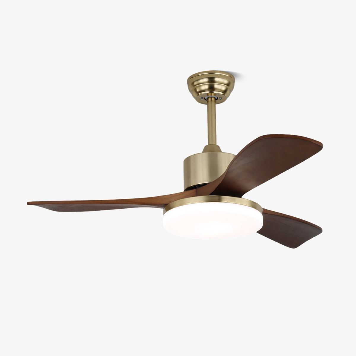 Ventilador de techo con luz Gualdera – vista principal