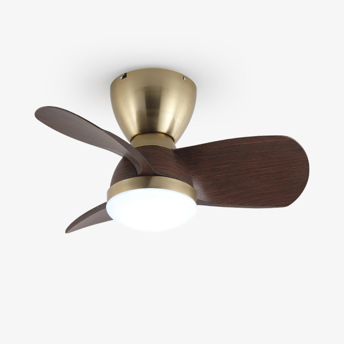 Ventilador de techo con luz Doranza – vista principal