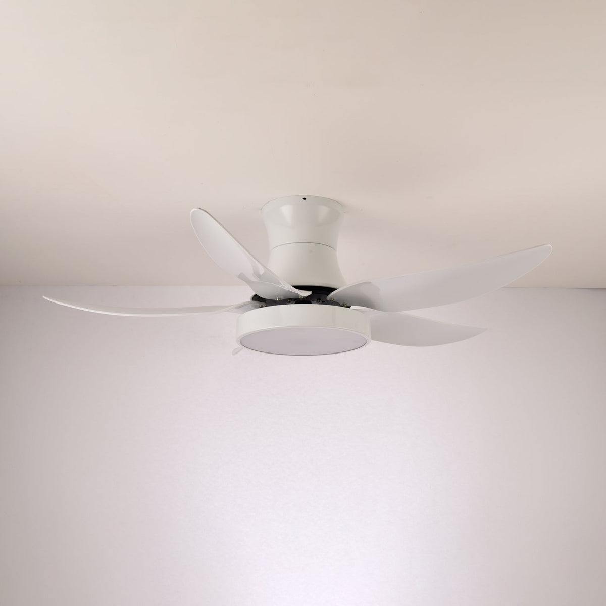 Ventilador de techo con luz Ilonda en un salón contemporáneo – imagen 12