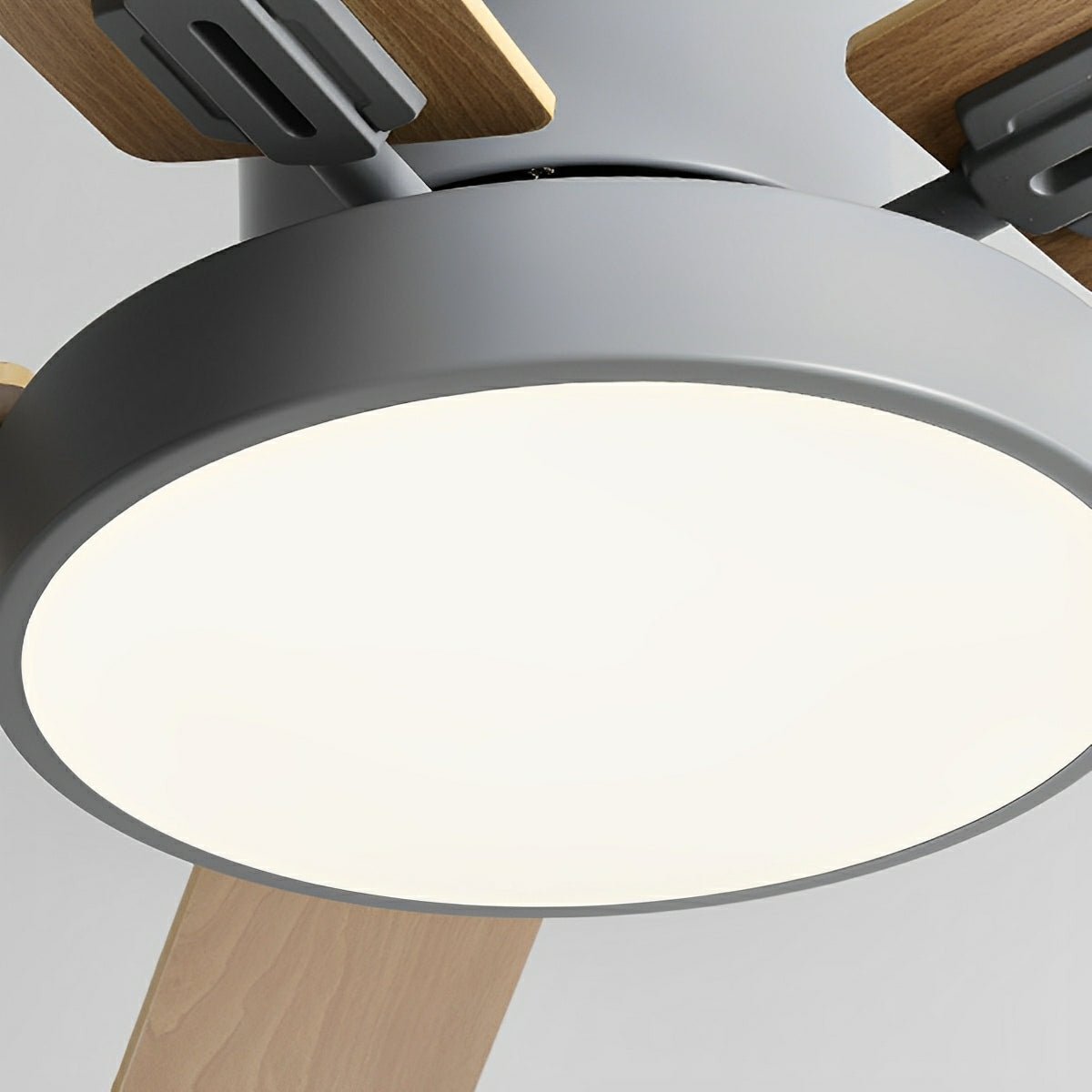 Ventilador de techo con luz Rosal en un salón moderno – imagen 7