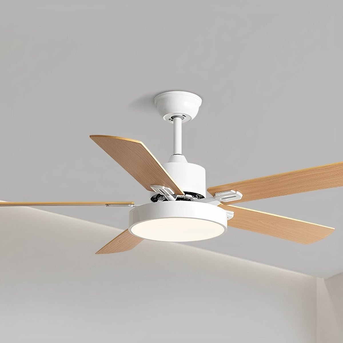 Ventilador de techo con luz Rosal en un salón moderno – imagen 16