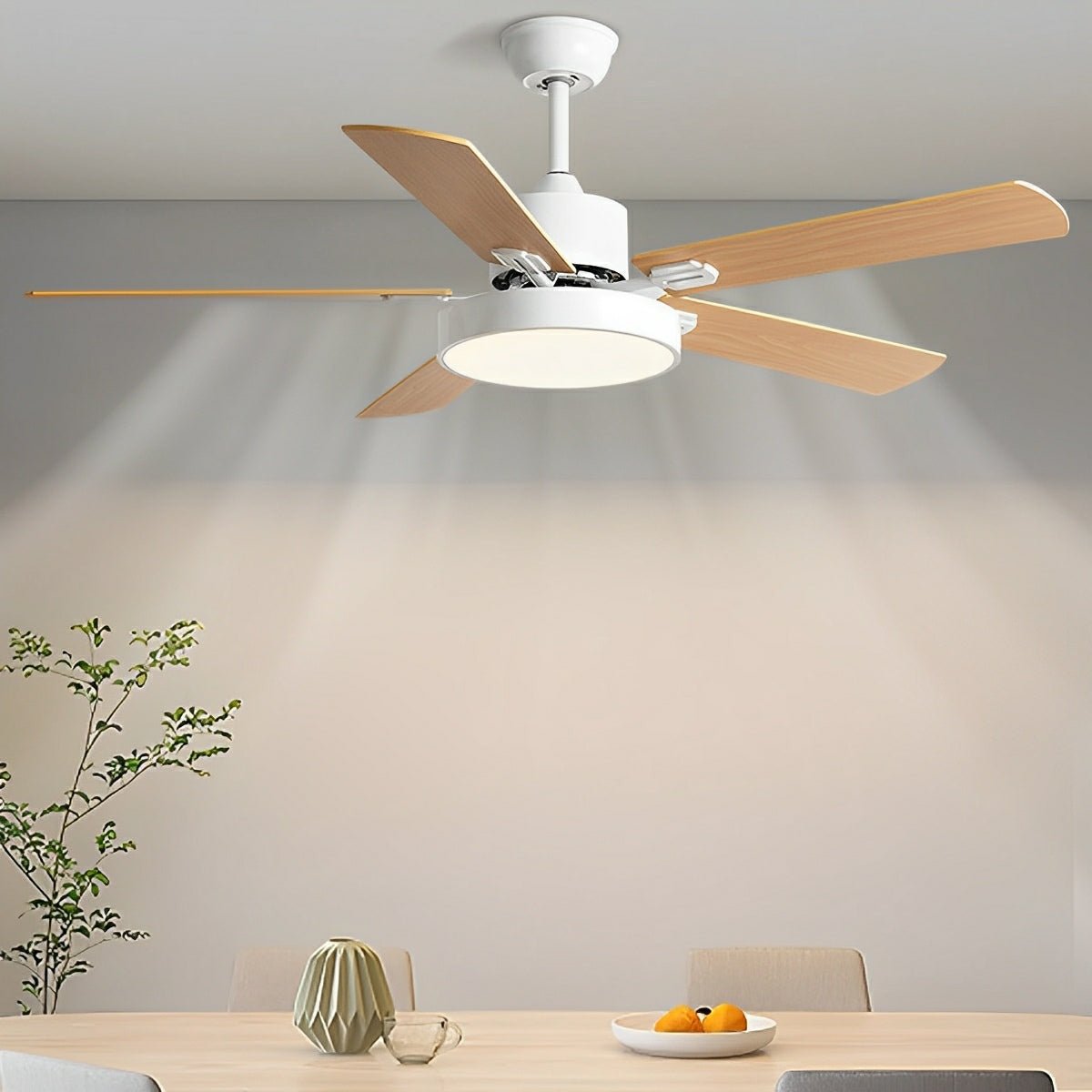 Ventilador de techo con luz Rosal – vista principal