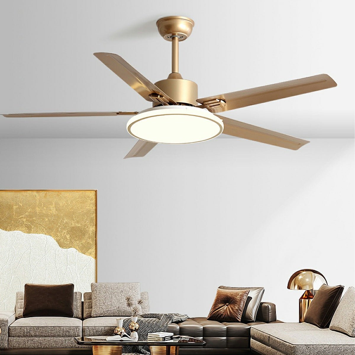 Ventilador de techo con luz Cromela – vista principal