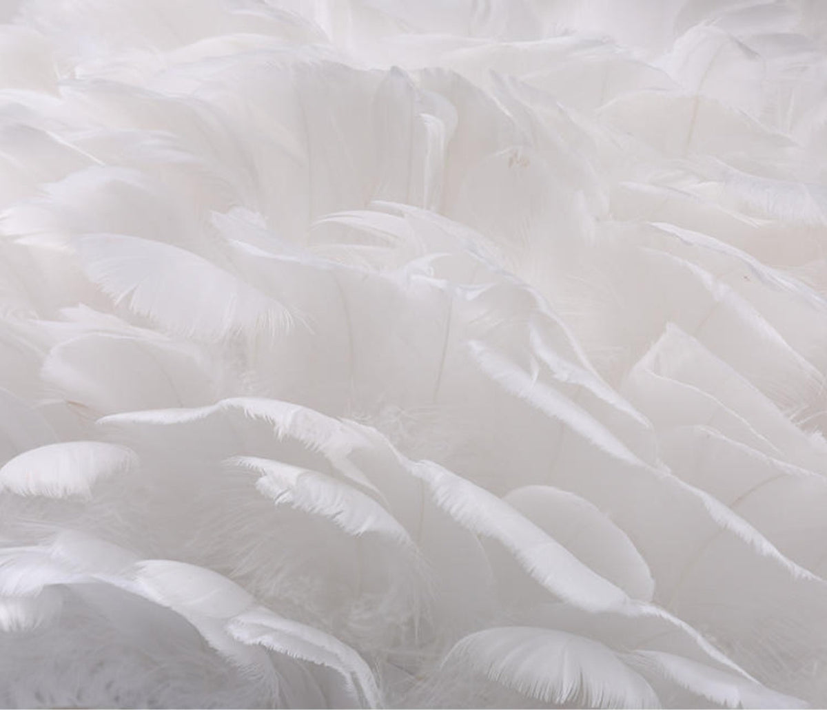 Lámpara de pie con pantalla de plumas blancas Sedara – detalle de las plumas de la pantalla
